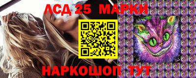 Альфа ПВП Моздок