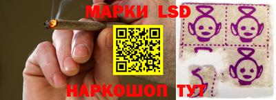 шишки Можга