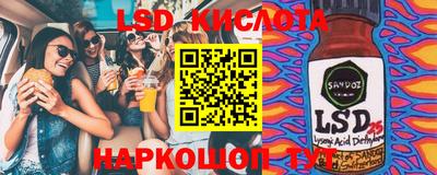 шишки Можга