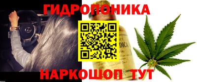 Альфа ПВП Моздок
