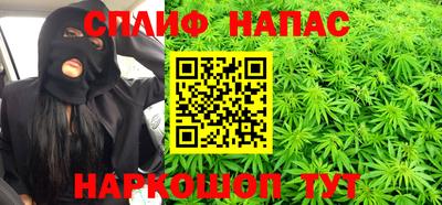 Альфа ПВП Моздок