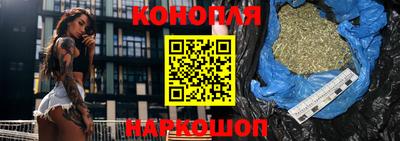 Альфа ПВП Моздок