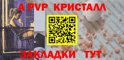 шишки Можга